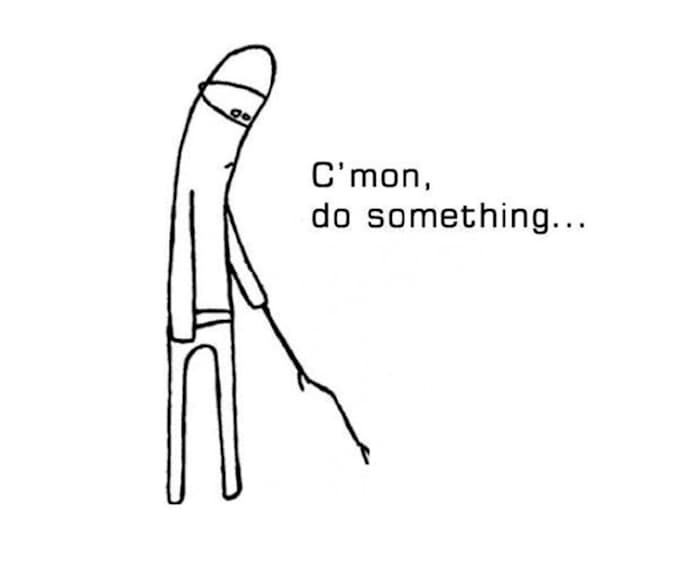 Suns Fans since the preseason